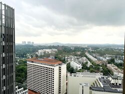 Cuscaden Reserve (D10), Condominium #593558291